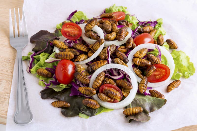Insectes de nourriture : Insecte de ver ou ver à soie frit de Chrysalis pour manger comme produits alimentaires dans le légume de photographie stock Insectes de nourriture : Insecte de ver ou ver à soie frit de Chrysalis pour manger comme produits alimentaires dans le légume de photographie stock