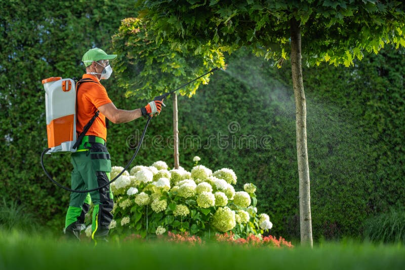 Insecticide et fongicide pour arbre