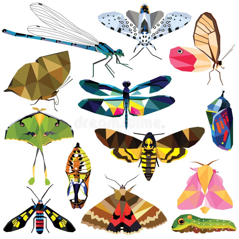 Insect set colorful low poly butterfly, moth, dragonfly designs on white background. Vector insects illustration. Insect set colorful low poly butterfly, moth, dragonfly designs on white background. Vector insects illustration.