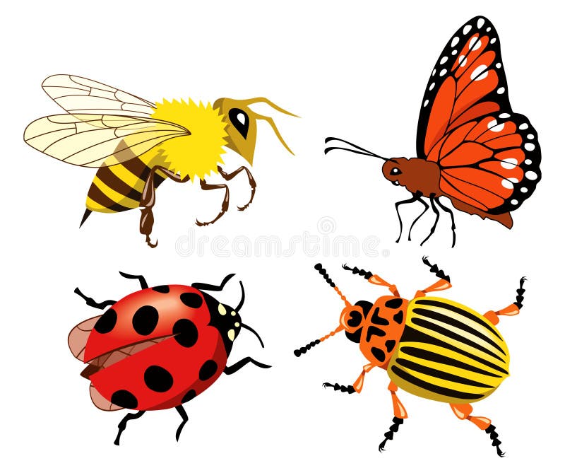 Beneficial Garden Insects 2 Stock Illustration Illustration of blue