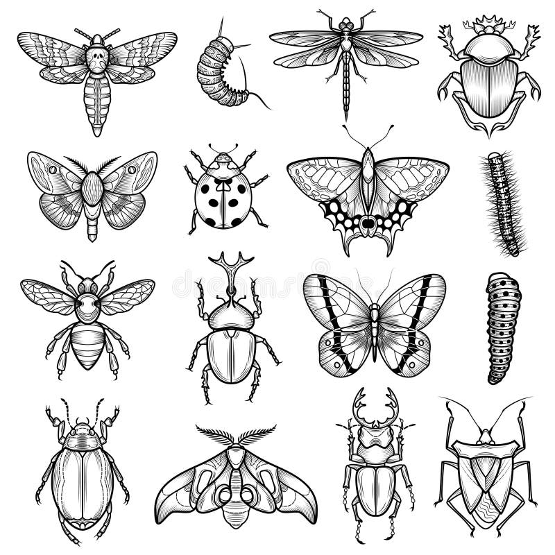 Insects Black White Line Icons Set