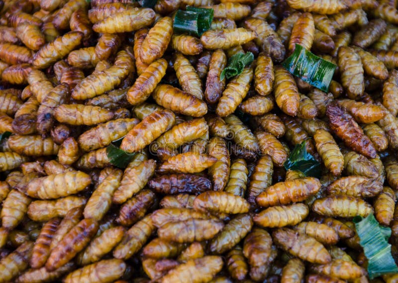 Insectos orugas vendido cómo aperitivos sobre el El mercado en tailandia.