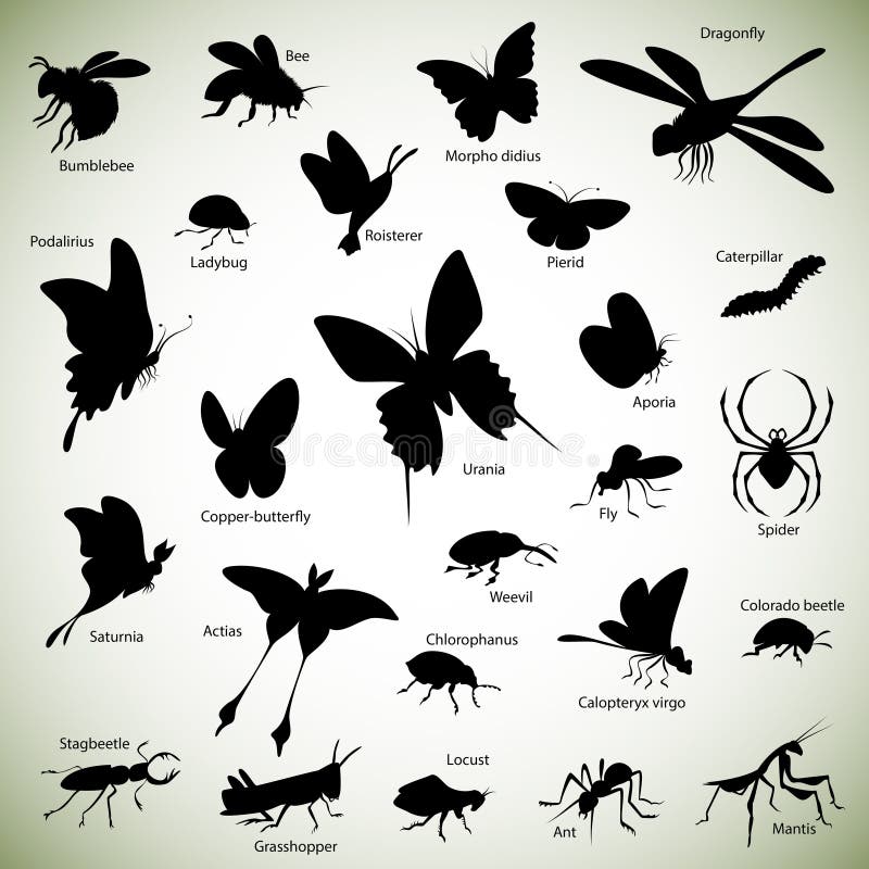 Insects silhouettes stock illustration Insects silhouettes stock illustration