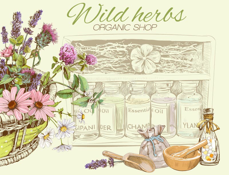 Vector vintage banner with wild flowers and herbs. Design for cosmetics, store, beauty salon, natural and organic products. Can be used like a greeting card. With place for text. Vector vintage banner with wild flowers and herbs. Design for cosmetics, store, beauty salon, natural and organic products. Can be used like a greeting card. With place for text