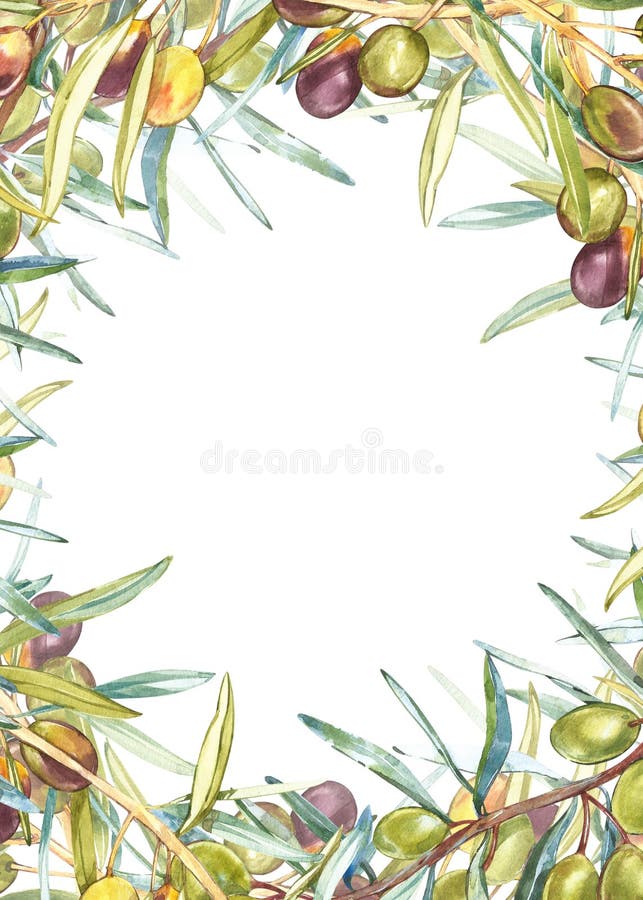 Insegne verticali con le olive nere e verdi mature su fondo bianco Progetti per olio d'oliva, l'imballaggio verde oliva, naturale illustrazione di stock Insegne verticali con le olive nere e verdi mature su fondo bianco Progetti per olio d'oliva, l'imballaggio verde oliva, naturale illustrazione di stock
