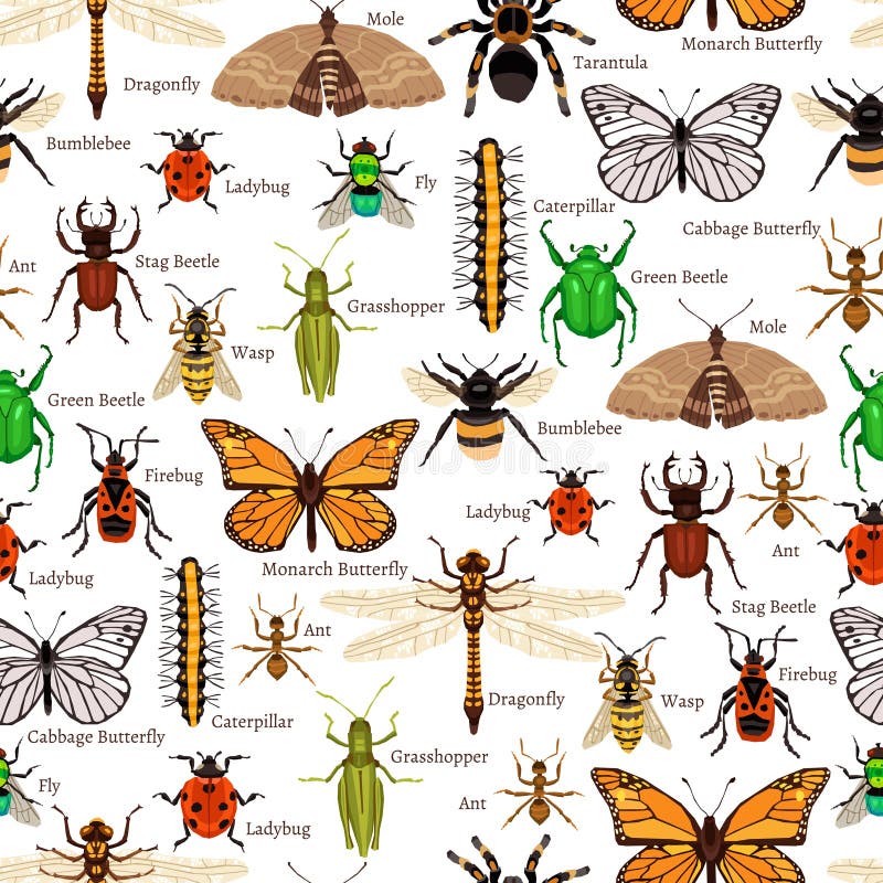 Insekta bezszwowy wzór ilustracja wektor