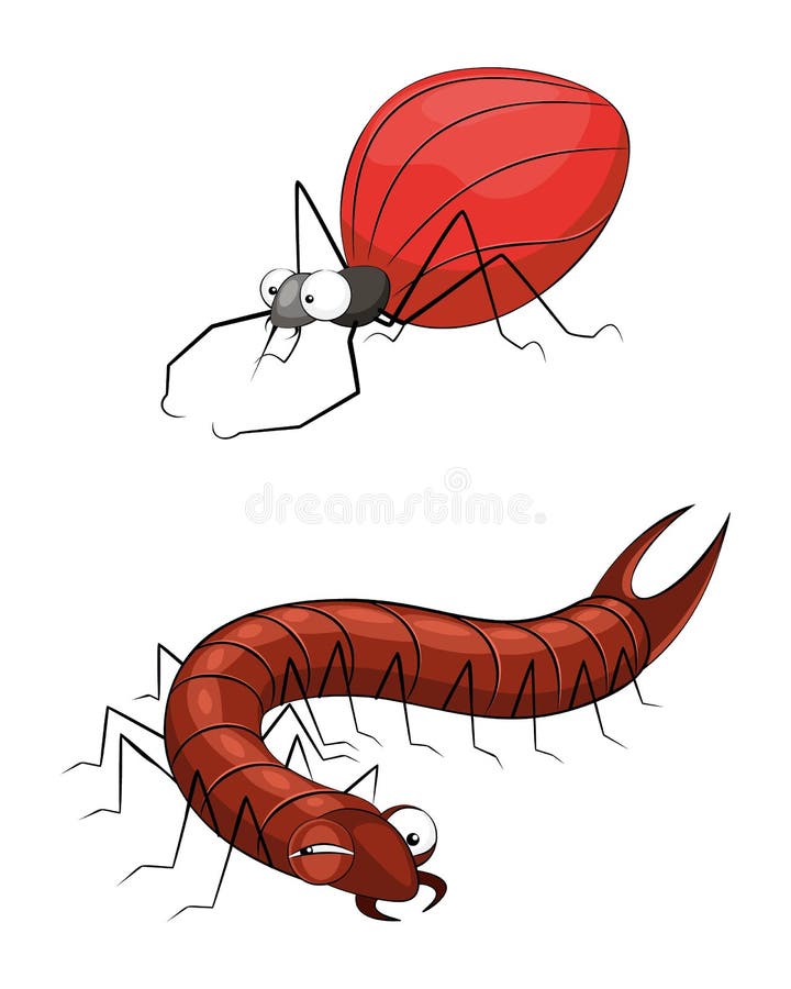 Insekten Die Fliege Und Ausdehnung Der Einfarbigen ...