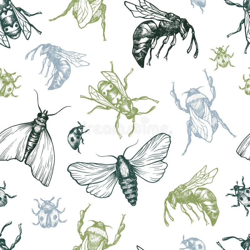 Insekten-Muster vektor abbildung Insekten-Muster vektor abbildung