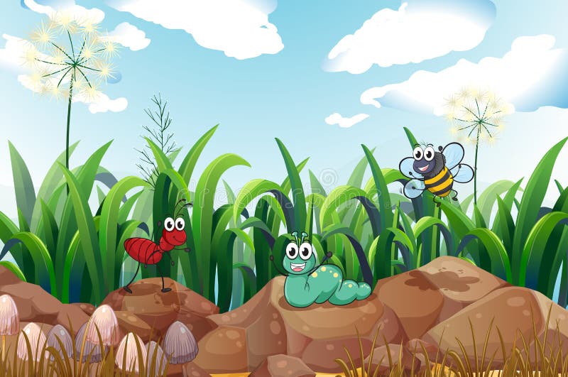 Insekty nad skały ilustracji Insekty nad skały ilustracji