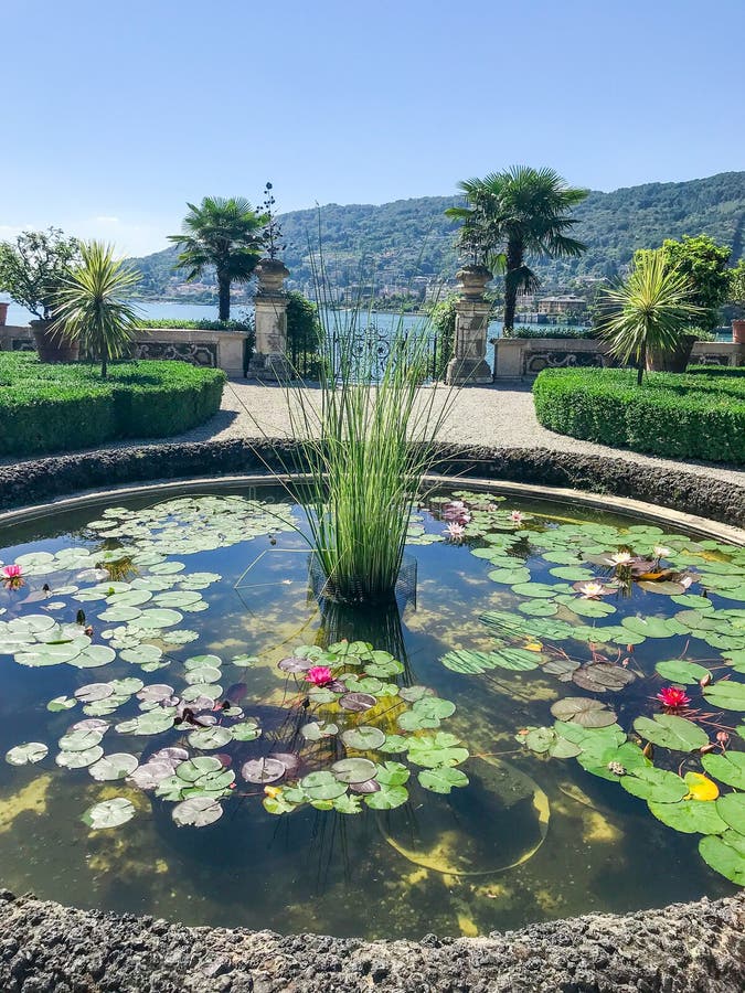 Insel Isola Bella Mit Garten Stockfoto Bild von insel