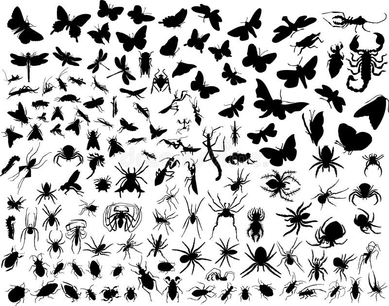 Insetos do vetor ilustração stock Insetos do vetor ilustração stock