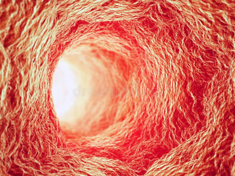 Inside a blood vessel