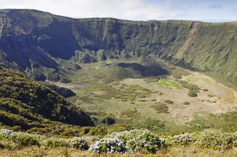 Inside of Caldeira volcano in Faial, Azores