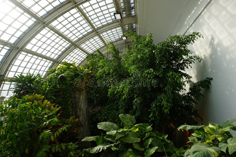 Inside the Imperial Butterfly House in Vienna Stock Image Image of