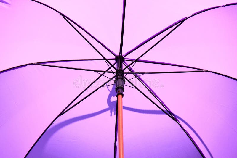 5,847 Purple Umbrella Stock Photos Free & RoyaltyFree Stock Photos