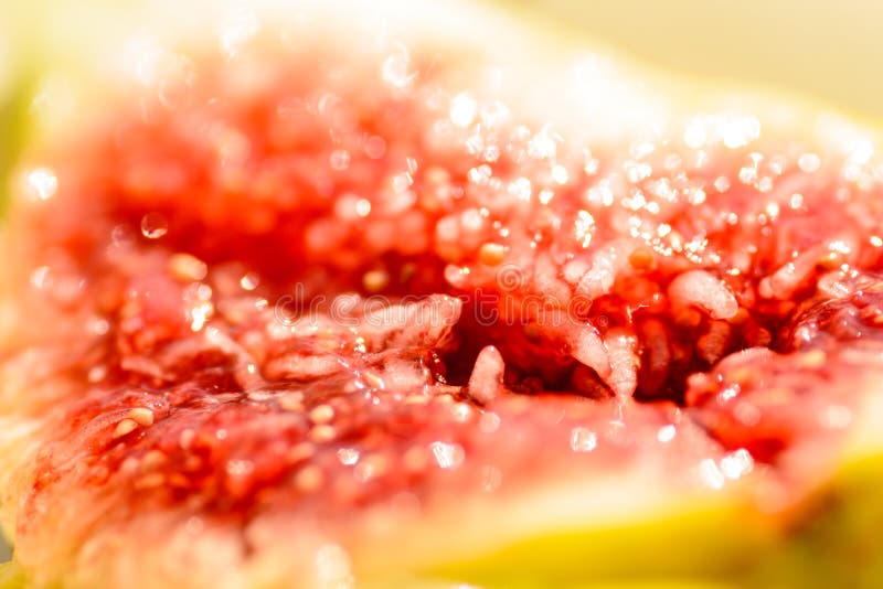 The Inside of a Ripe Fig Fruit Stock Photo Image of agriculture
