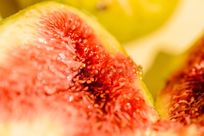 The Inside of a Ripe Fig Fruit Stock Image Image of biology, ficus