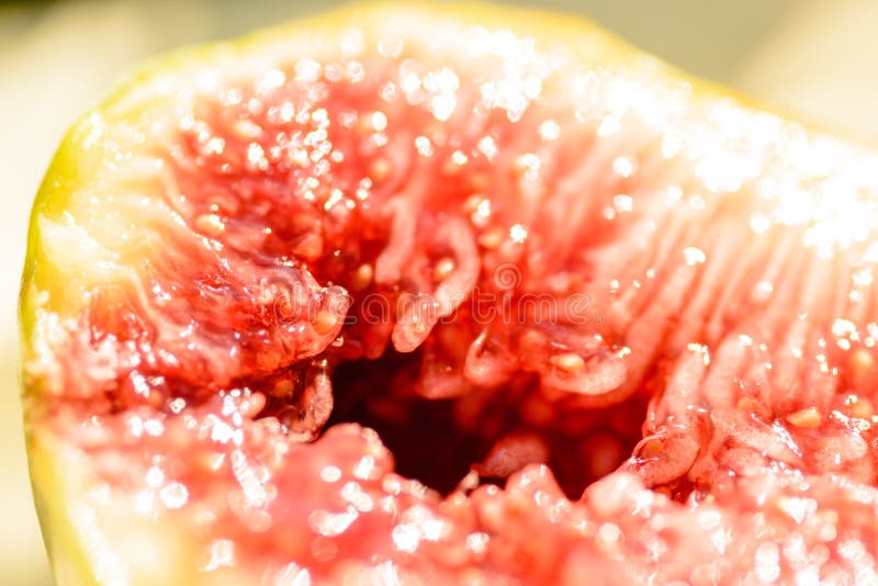 The Inside of a Ripe Fig Fruit Stock Image Image of natural, indoor