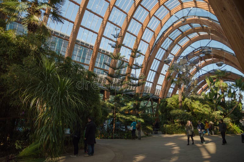 Inside the Winter Gardens in Sheffield, South Yorkshire