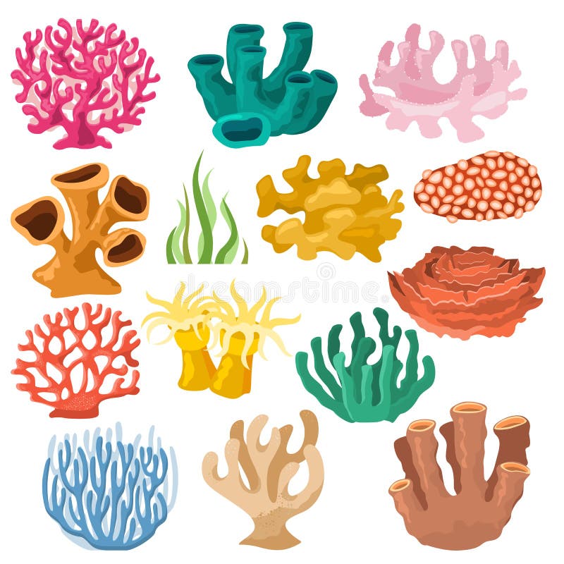Insieme coralloidal del cooralreef dell'illustrazione subacquea corallina o esotica del mare di corallo di vettore di fauna marin illustrazione di stock Insieme coralloidal del cooralreef dell'illustrazione subacquea corallina o esotica del mare di corallo di vettore di fauna marin illustrazione di stock