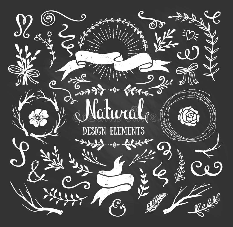 Insieme d'annata del grafico dei fiori, dei rami, delle foglie e degli elementi rustici di progettazione illustrazione vettoriale Insieme d'annata del grafico dei fiori, dei rami, delle foglie e degli elementi rustici di progettazione illustrazione vettoriale
