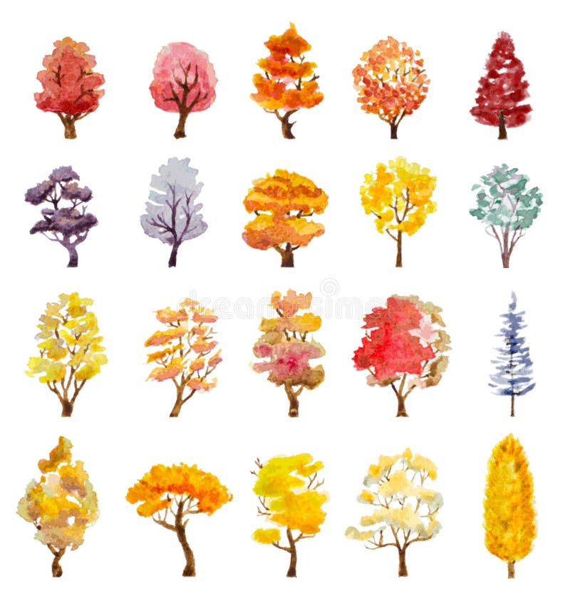 Insieme degli alberi di autunno Illustrazione disegnata a mano dell'acquerello