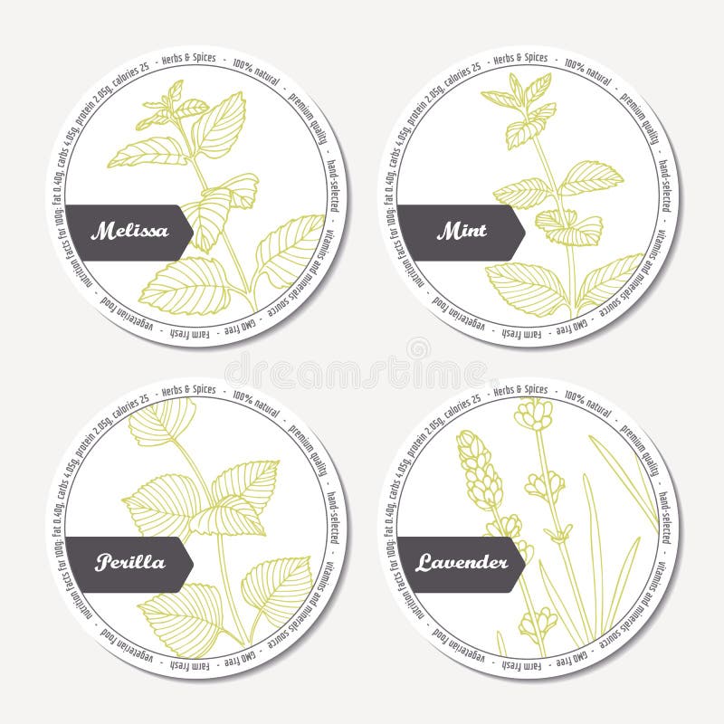 Insieme degli autoadesivi per il withmelissa di progettazione di pacchetto, menta, lavanda, perilla illustrazione di stock Insieme degli autoadesivi per il withmelissa di progettazione di pacchetto, menta, lavanda, perilla illustrazione di stock