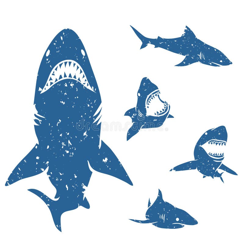 Set of big sharks with grunge style. Vector illustration. Set of big sharks with grunge style. Vector illustration.