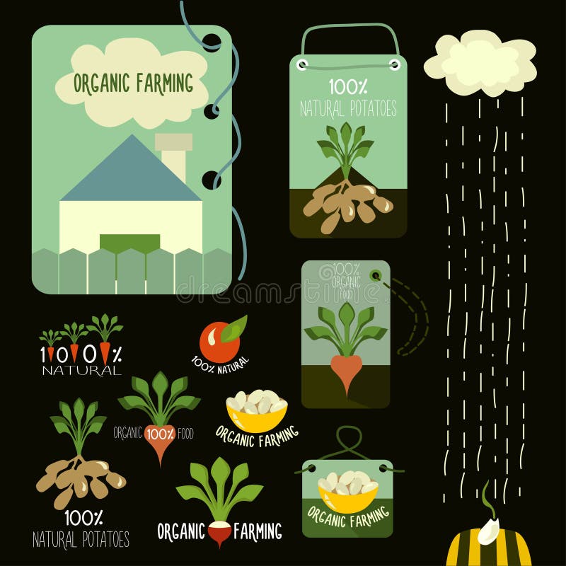 Insieme dei distintivi dell'azienda agricola ed organici dell'alimento fresco e illustrazione di stock Insieme dei distintivi dell'azienda agricola ed organici dell'alimento fresco e illustrazione di stock
