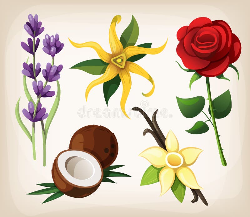 Insieme dei sapori fragranti del fiore royalty illustrazione gratis Insieme dei sapori fragranti del fiore royalty illustrazione gratis