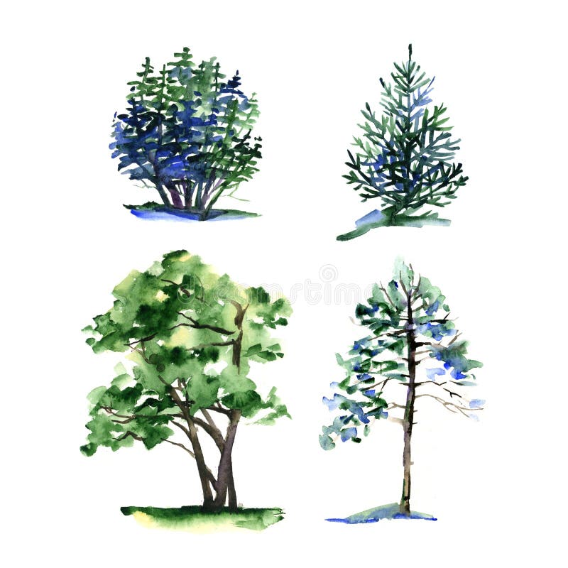 Insieme dei tipi differenti alberi dell'acquerello illustrazione di stock Insieme dei tipi differenti alberi dell'acquerello illustrazione di stock