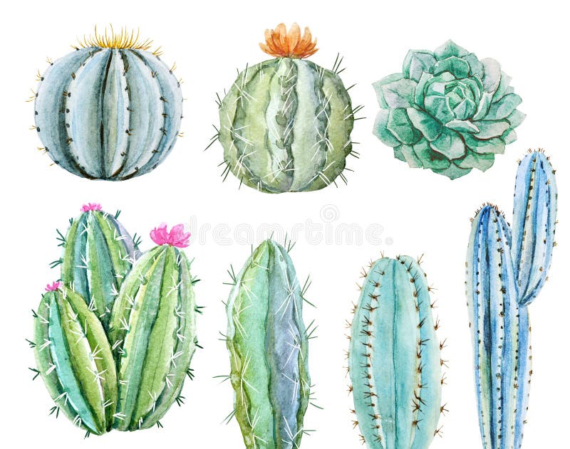 Insieme del cactus dell'acquerello illustrazione di stock Insieme del cactus dell'acquerello illustrazione di stock