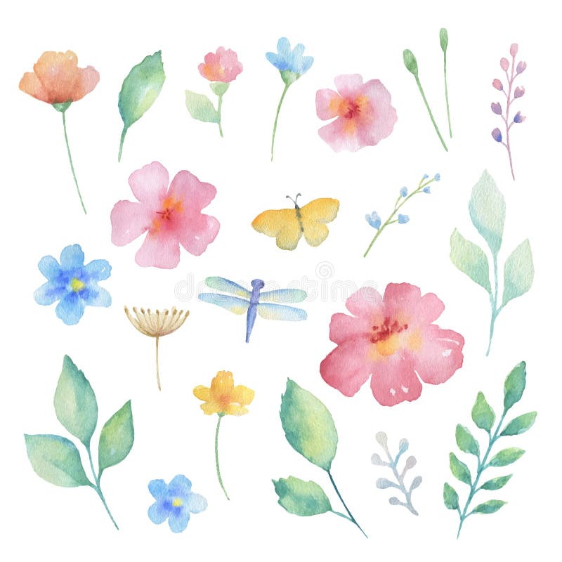 Insieme dell'acquerello dei fiori royalty illustrazione gratis