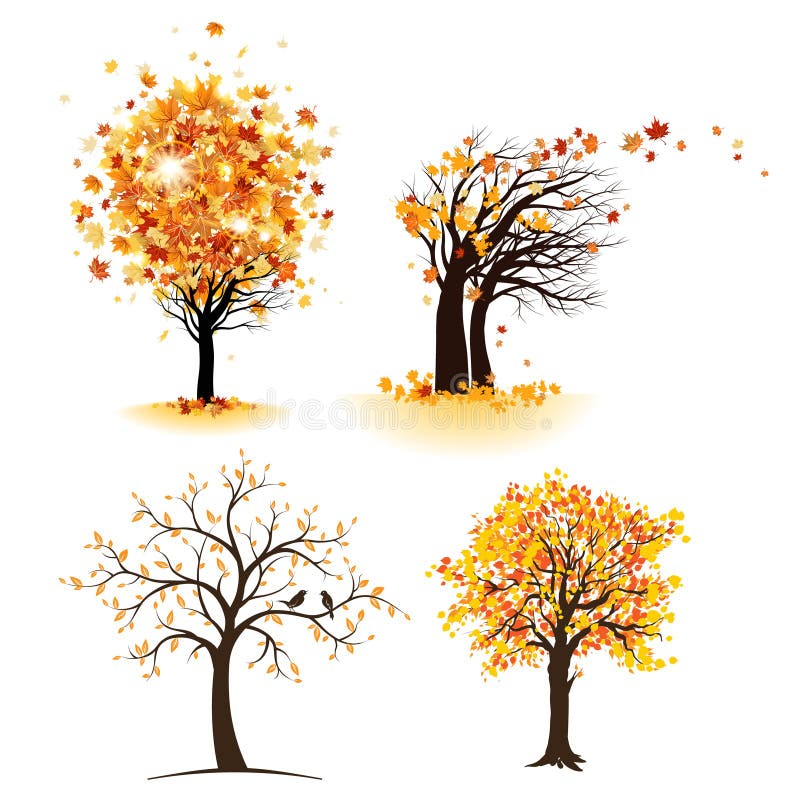 Insieme dell'albero di autunno