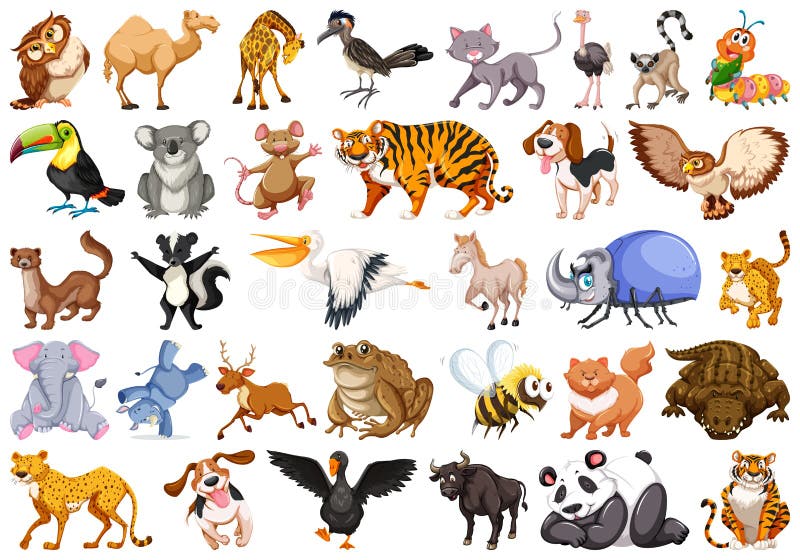 Insieme dell'animale selvatico illustrazione vettoriale Insieme dell'animale selvatico illustrazione vettoriale