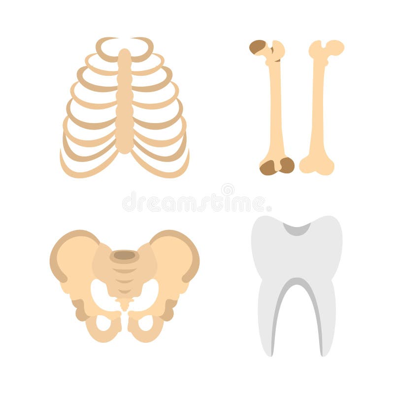 Insieme dell'icona delle ossa dell'essere umano, stile piano illustrazione vettoriale Insieme dell'icona delle ossa dell'essere umano, stile piano illustrazione vettoriale