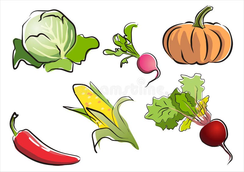 Insieme della parte isolata 3. delle verdure. illustrazione vettoriale Insieme della parte isolata 3. delle verdure. illustrazione vettoriale