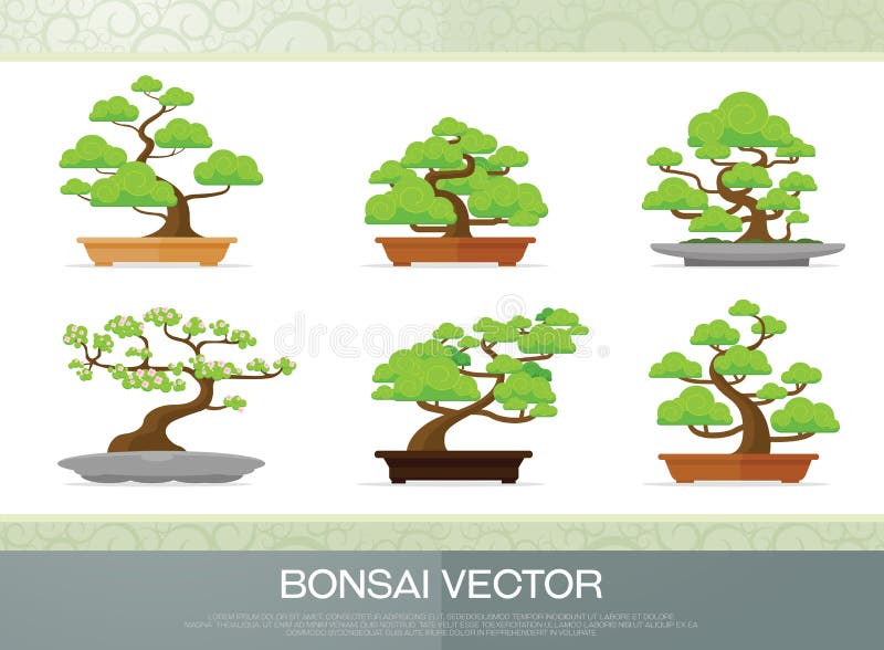 Insieme della pianta dei bonsai nello stile piano del vaso