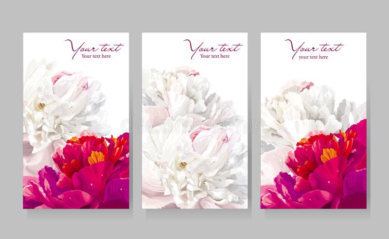 Insieme delle cartoline d'auguri del fiore del peony royalty illustrazione gratis Insieme delle cartoline d'auguri del fiore del peony royalty illustrazione gratis