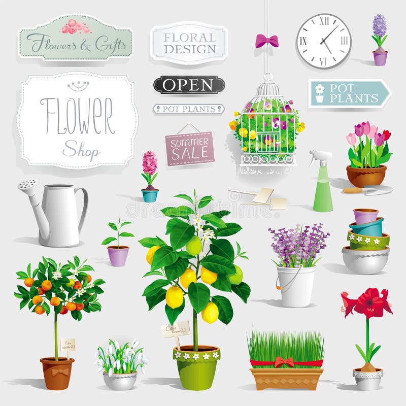 Insieme delle piante da vaso e degli strumenti di giardino illustrazione vettoriale Insieme delle piante da vaso e degli strumenti di giardino illustrazione vettoriale
