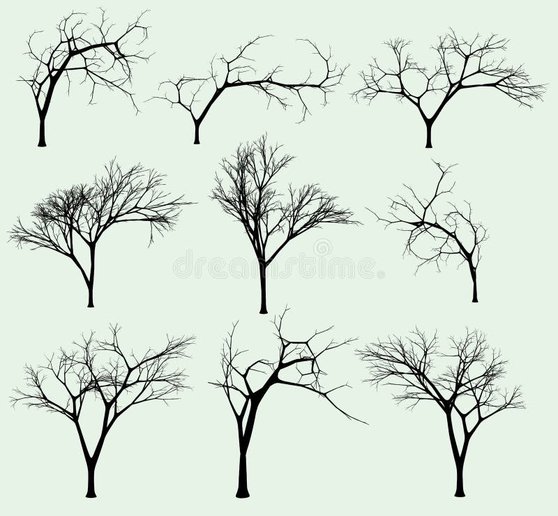 Insieme delle siluette degli alberi illustrazione di stock Insieme delle siluette degli alberi illustrazione di stock
