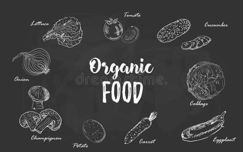 Insieme dello schizzo disegnato a mano del gesso delle verdure dell'alimento biologico su una lavagna Illustrazione di vettore pe royalty illustrazione gratis Insieme dello schizzo disegnato a mano del gesso delle verdure dell'alimento biologico su una lavagna Illustrazione di vettore pe royalty illustrazione gratis