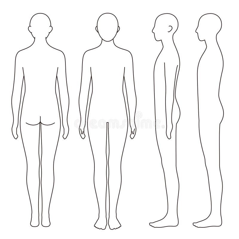 Insieme di file vettoriali anteriori e laterali della struttura del corpo umano