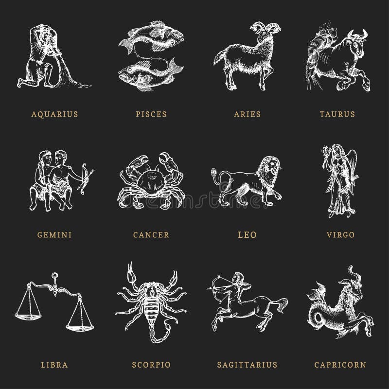 Insieme di simboli dello zodiaco, disegnato a mano nell'incisione dello stile Illustrazione del grafico di vettore retro dei segn royalty illustrazione gratis