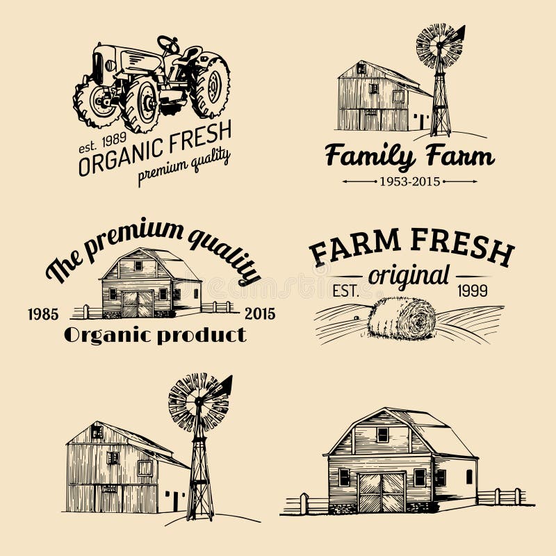 Insieme di vettore dei logotypes freschi dell'azienda agricola Bio- raccolta dei distintivi dei prodotti La mano d'annata ha schi royalty illustrazione gratis Insieme di vettore dei logotypes freschi dell'azienda agricola Bio- raccolta dei distintivi dei prodotti La mano d'annata ha schi royalty illustrazione gratis