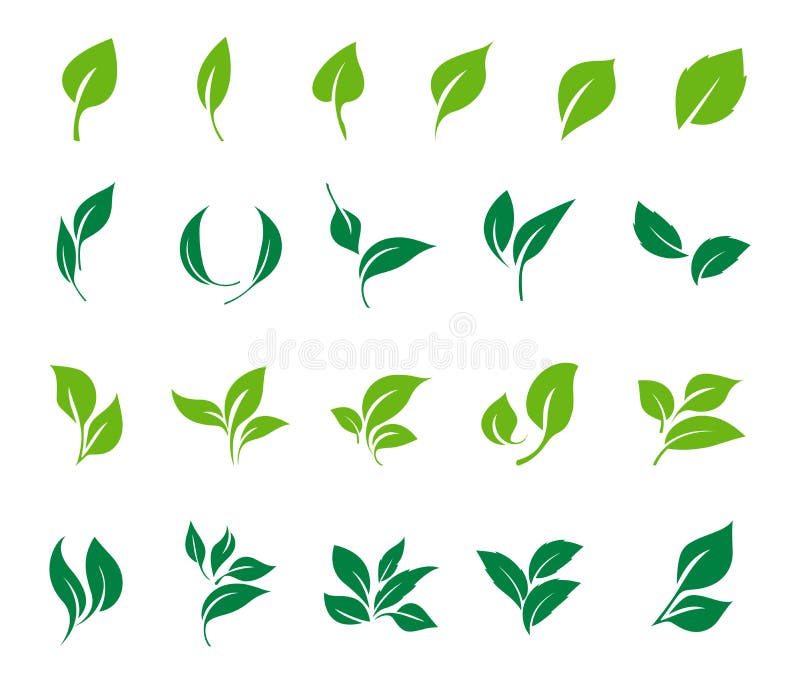 Leaves icon vector set isolated on white background. Ecology icon set. Leaves icon vector set isolated on white background. Ecology icon set.