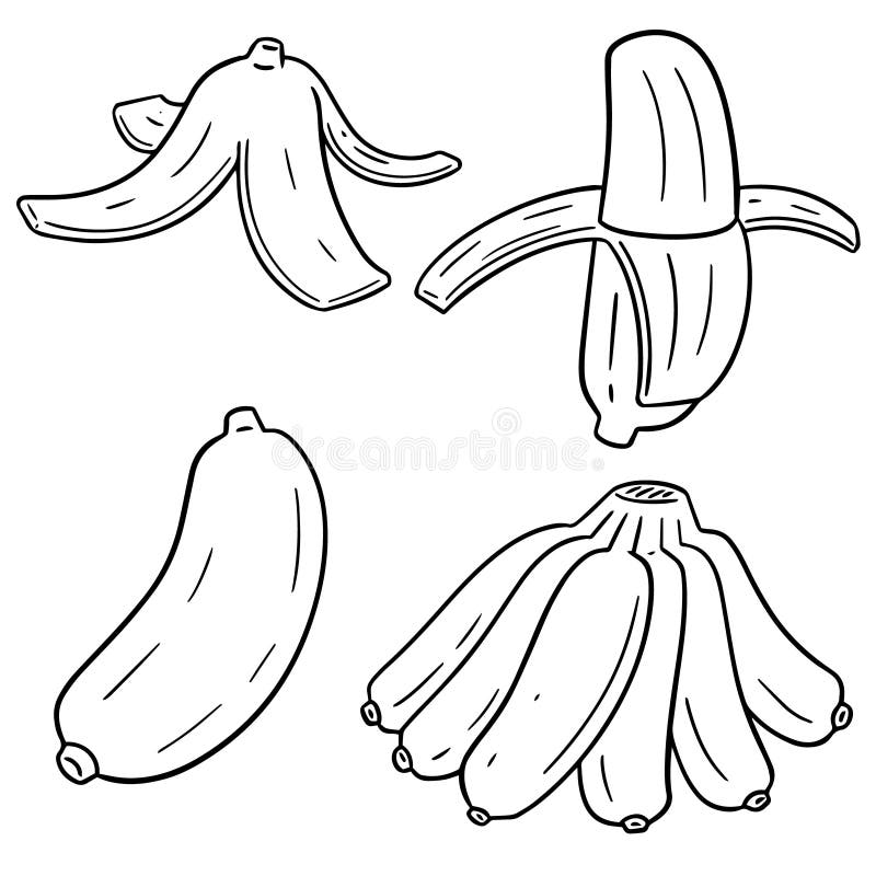 Insieme di vettore della banana royalty illustrazione gratis Insieme di vettore della banana royalty illustrazione gratis