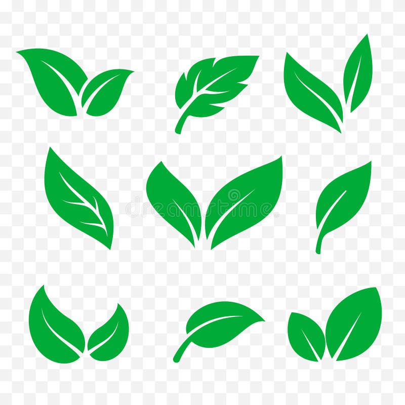 Insieme di vettore isolato icone delle foglie Foglia verde dell'albero, eco e bio- logo organico royalty illustrazione gratis Insieme di vettore isolato icone delle foglie Foglia verde dell'albero, eco e bio- logo organico royalty illustrazione gratis