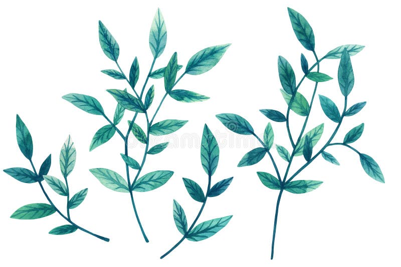 Insieme dipinto dell'acquerello delle foglie verdi decorative e dei rami isolati su fondo bianco Elementi per il disegno Giorno d illustrazione vettoriale Insieme dipinto dell'acquerello delle foglie verdi decorative e dei rami isolati su fondo bianco Elementi per il disegno Giorno d illustrazione vettoriale