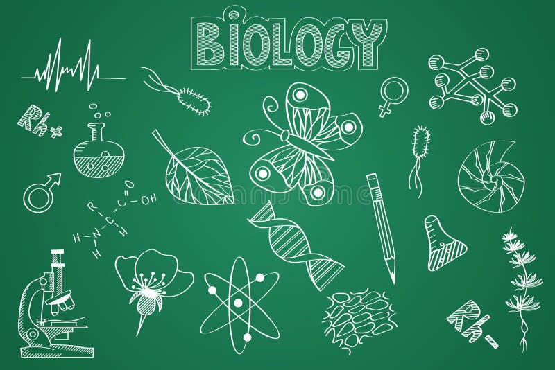Insieme disegnato a mano di biologia Gesso sulla lavagna royalty illustrazione gratis Insieme disegnato a mano di biologia Gesso sulla lavagna royalty illustrazione gratis